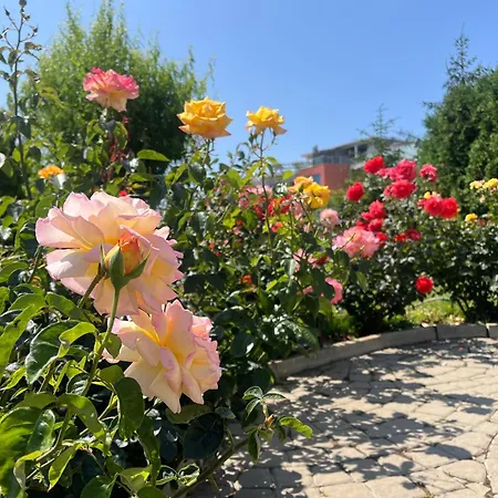 Sun Wave Apartament *