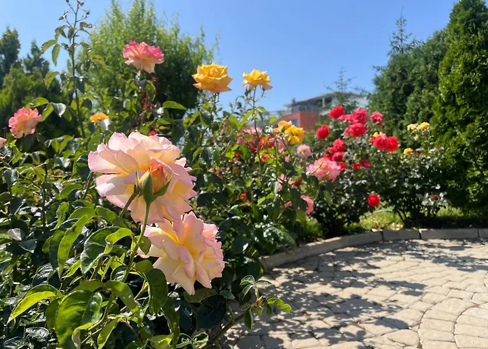 Sun Wave Lägenhet *