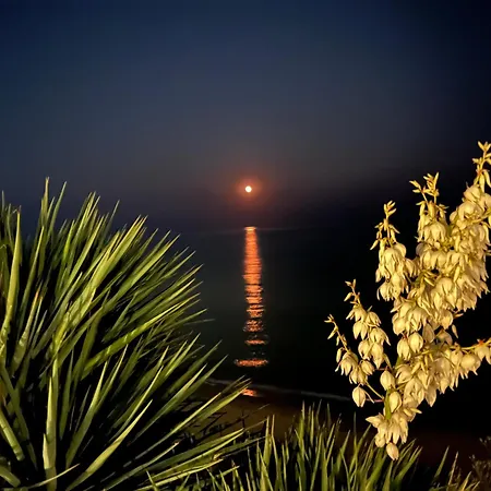 Sun Wave סבטי ולאס